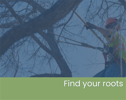 Website Tiles (3.5 x 2.78 in) (4).png