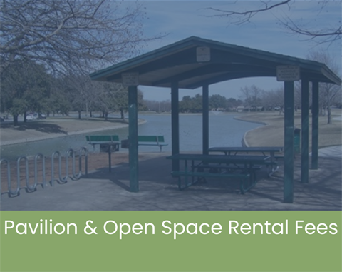 Services & Activities (10).png