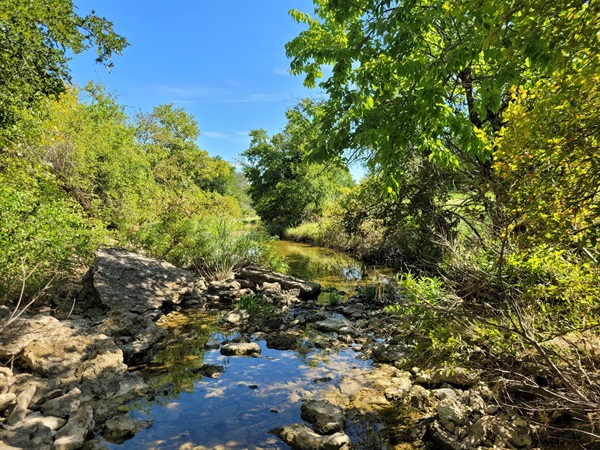 Stream corridor