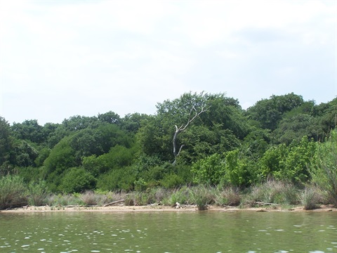 Goat Island 1