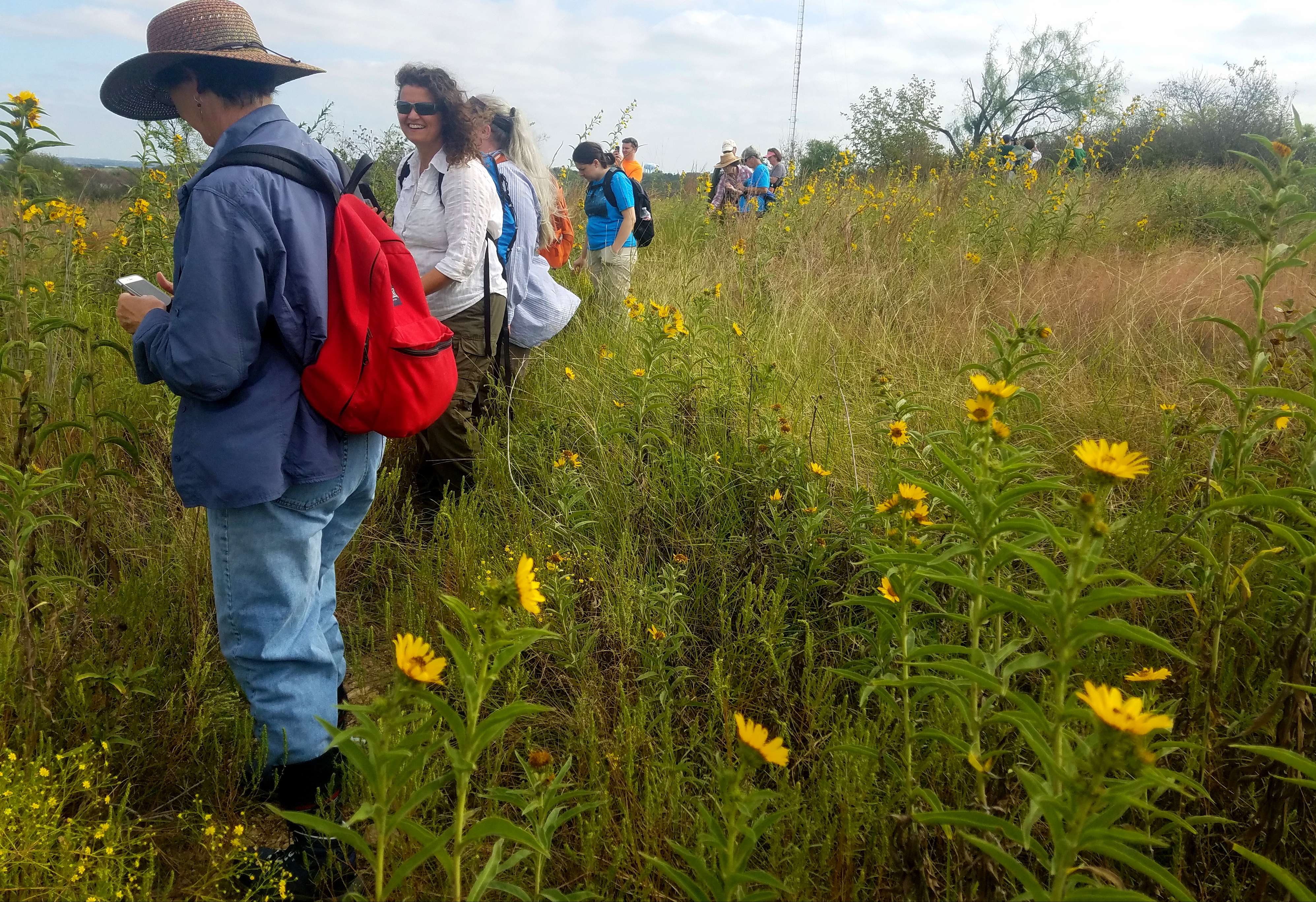 People in natural field full of yellow flowers.