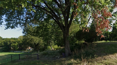 Red Bud Park - Reserve - Street View