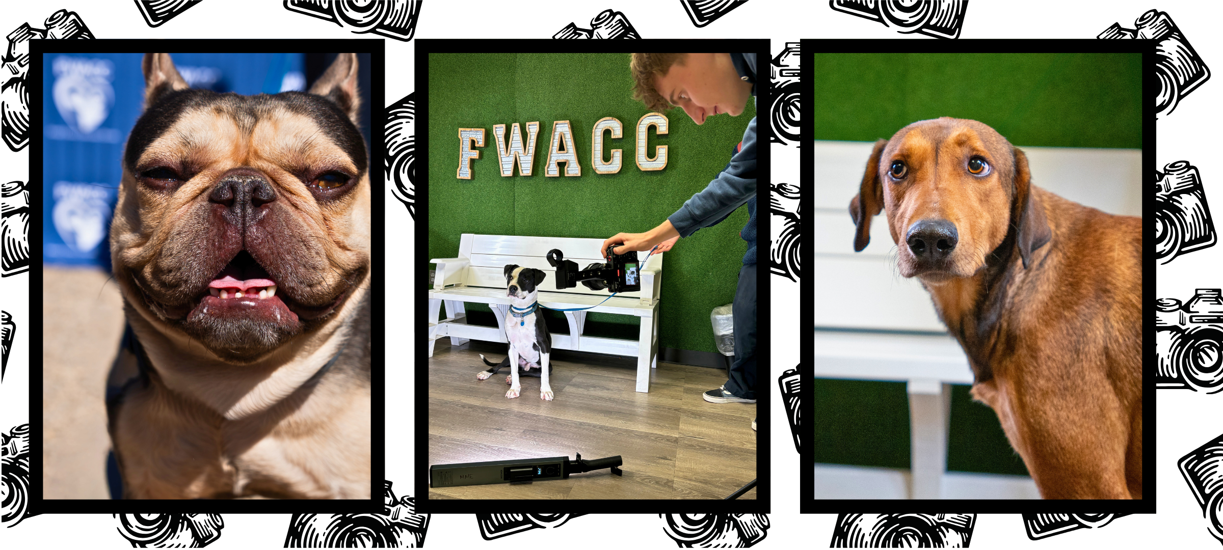 FWACC photoshoot collage.png