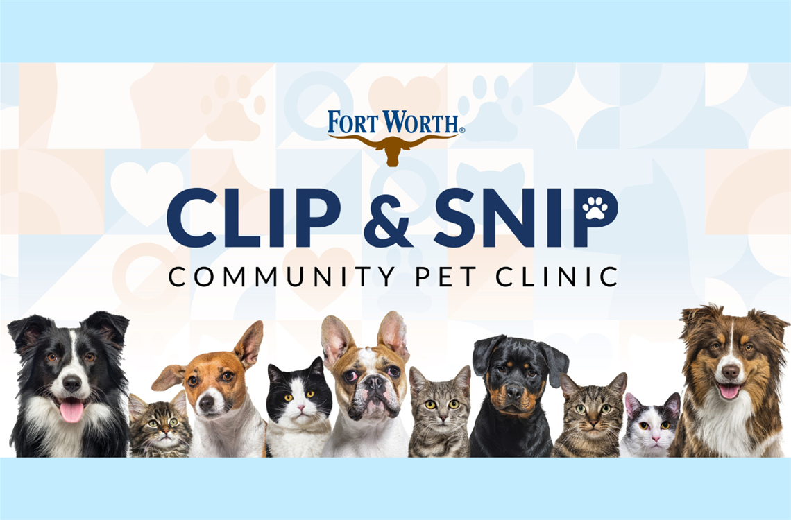 Clip and Snip widget.png