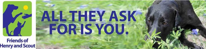 Donation banner for help with support of animals