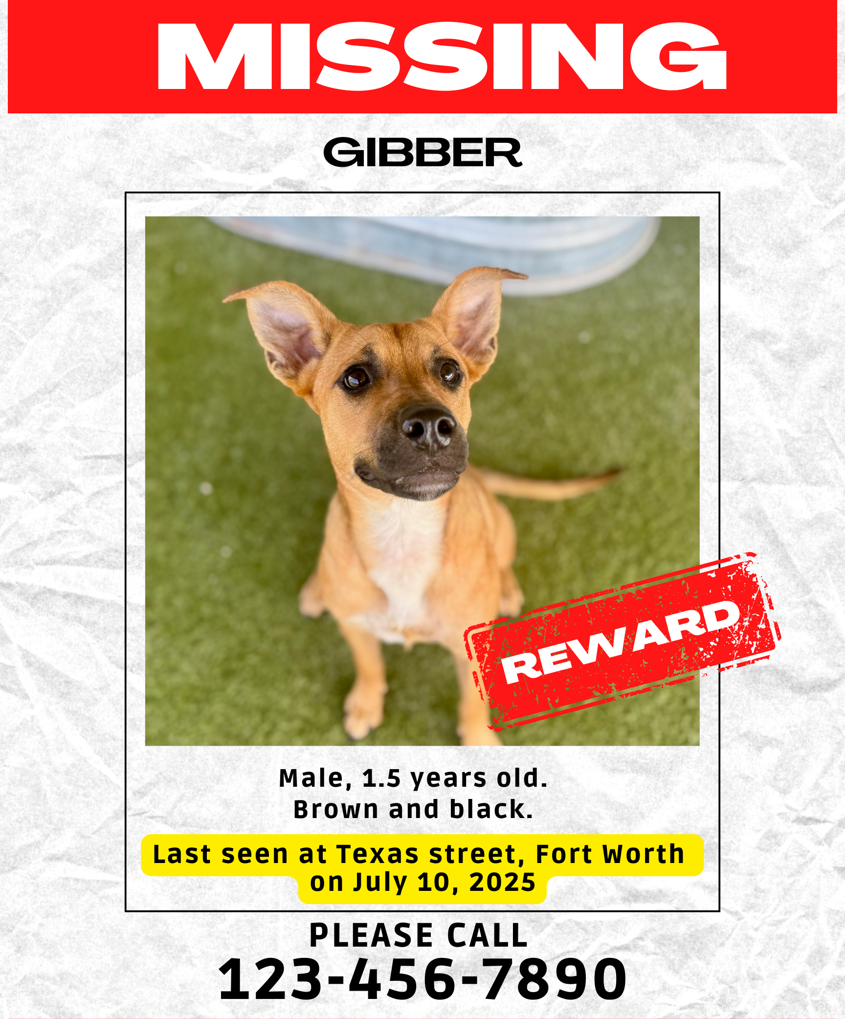 PawBoost missing poster.png