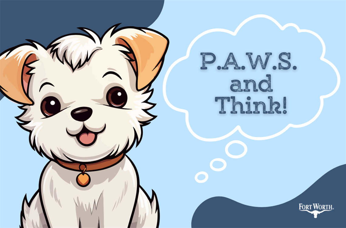 PAWS and Think widget.png