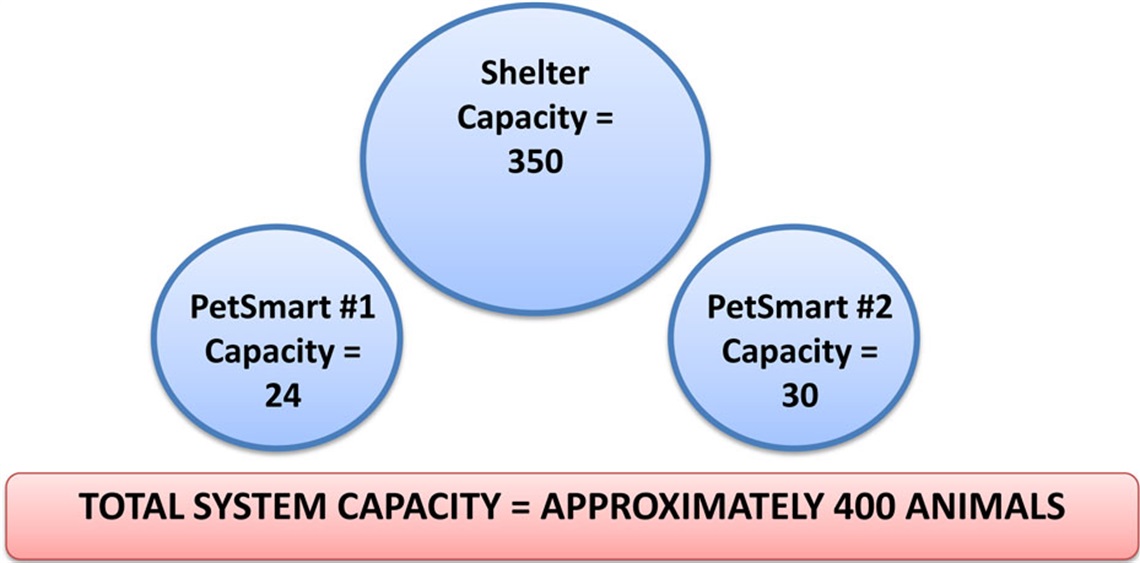 Shelter Challenge Chart on system capacity measurements