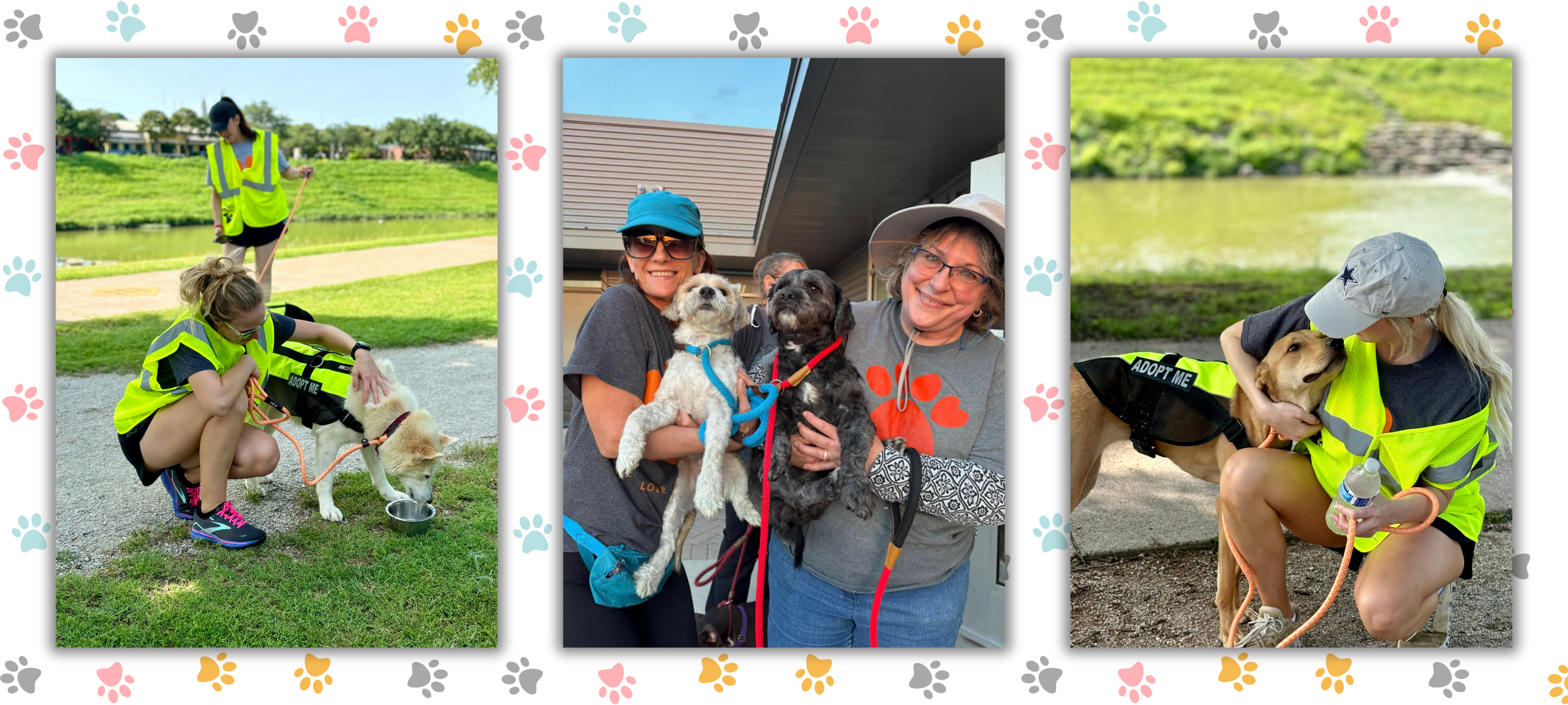 Volunteer program collage.png
