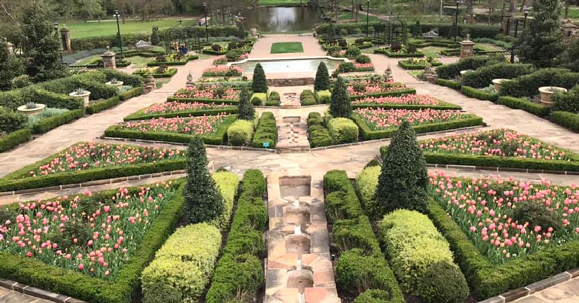 image of Botanic Garden