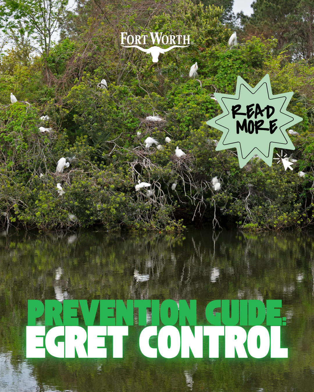 egret prevention web guide.png