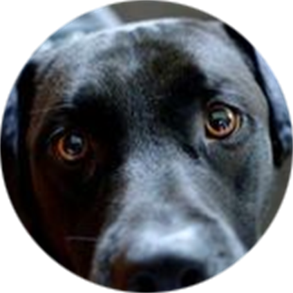 Code Complaince Facebook icon