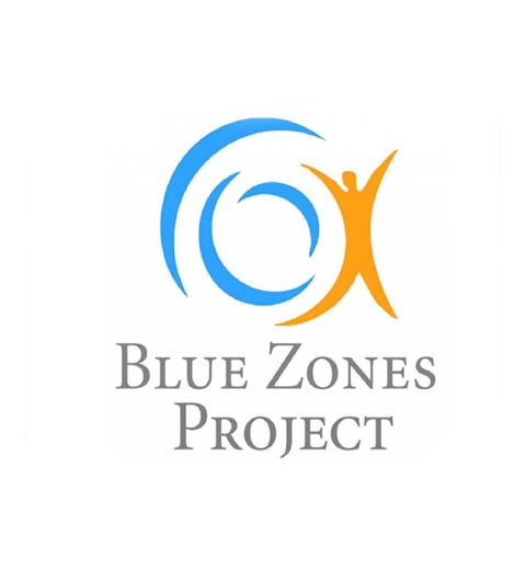 Blue Zone icon