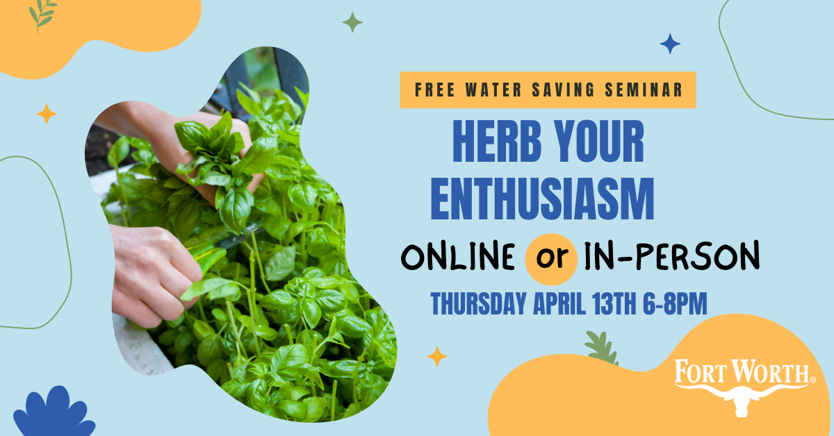 HerbClass.png