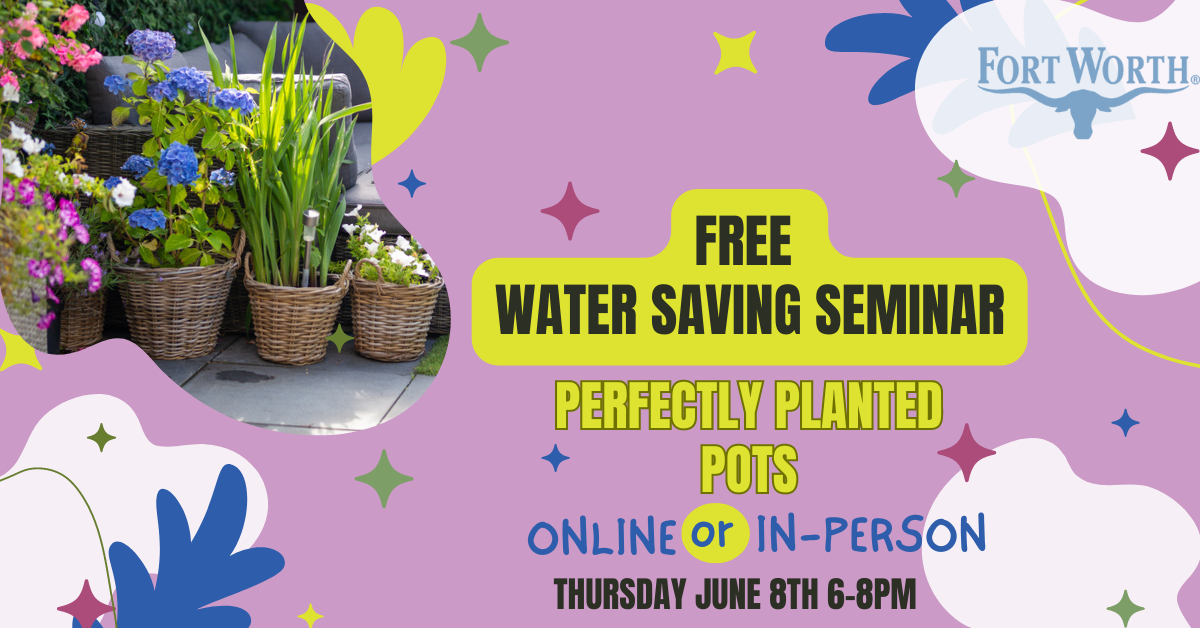 June-WSS-Website-Banners.png