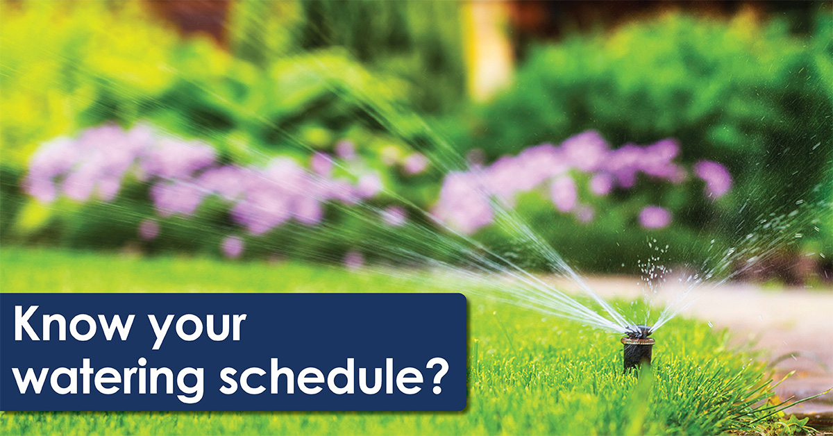 Know your watering schedule