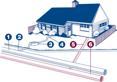 image that shows what assets the city maintains and what assets are the homeowner's responsibility.