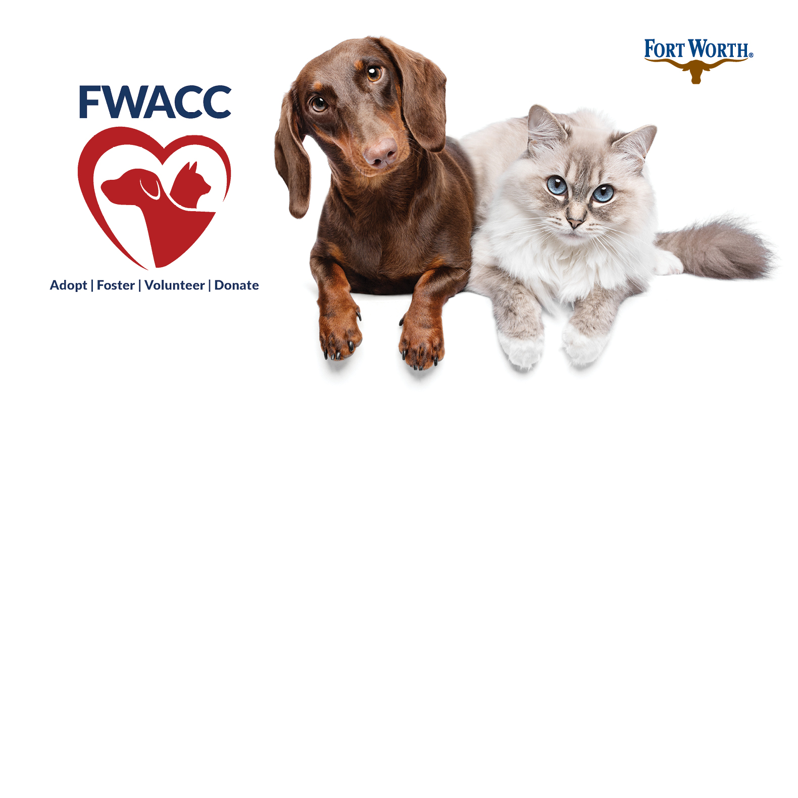 Animal Care winter safety tips - shows cat and dog withteh logo for Animal Care